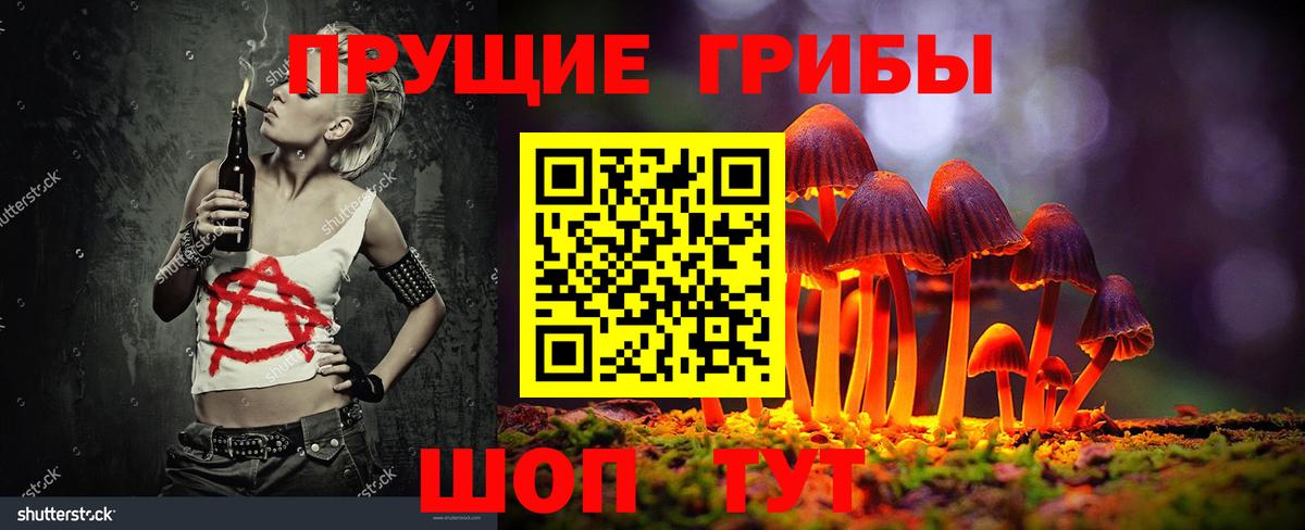 Псилоцибиновые грибы Psilocybe Губкин