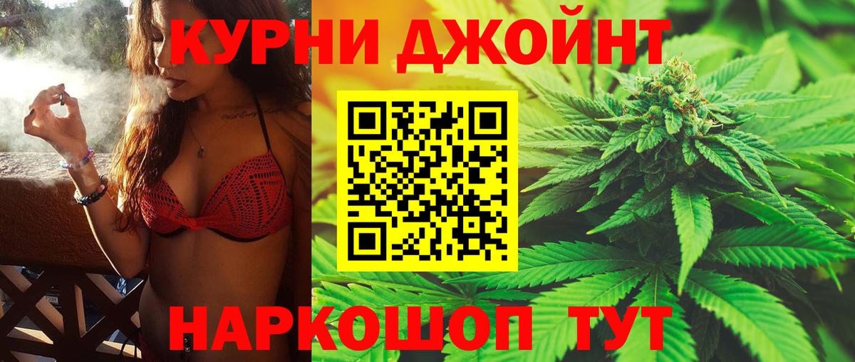 Канабис OG Kush Губкин