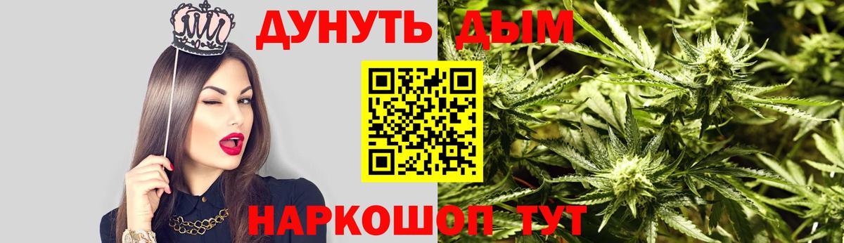 Псилоцибиновые грибы Губкин
